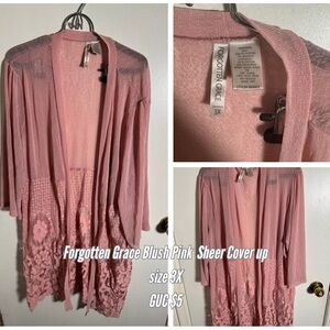 Blush Pink Sheer Women's Sweater